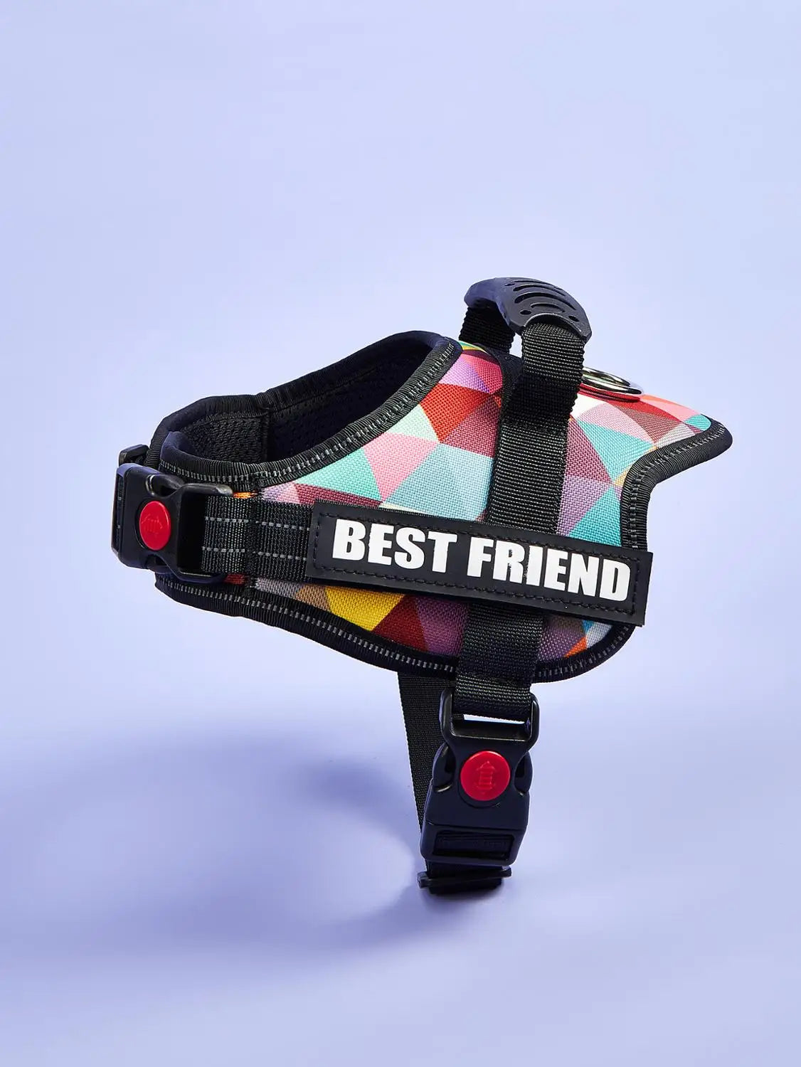 Personalized Dog Harness