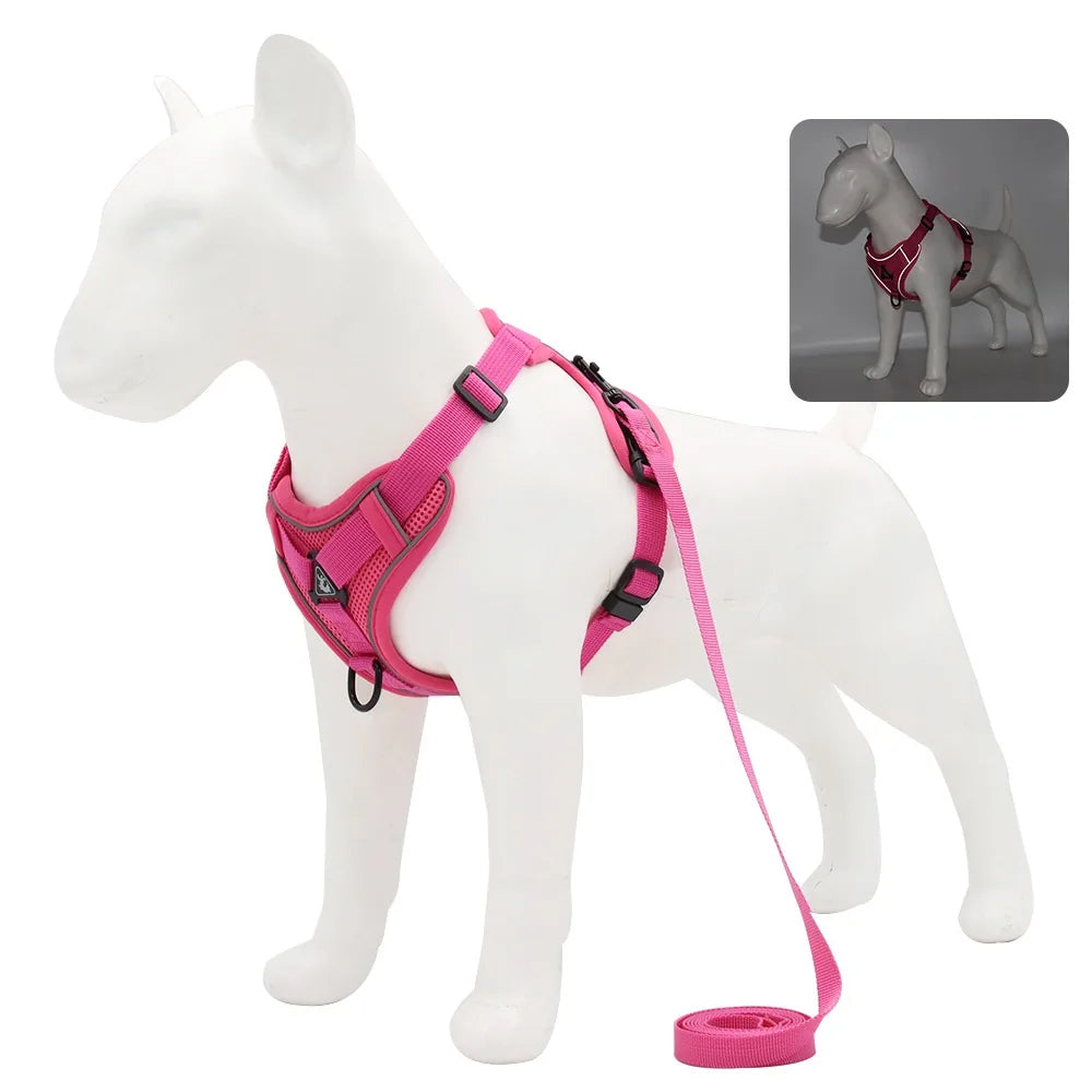 Pectoral Collar Dog Harness