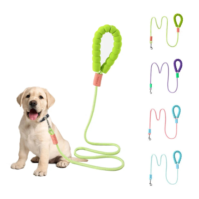Escape Proof Pet Reinforced Leash