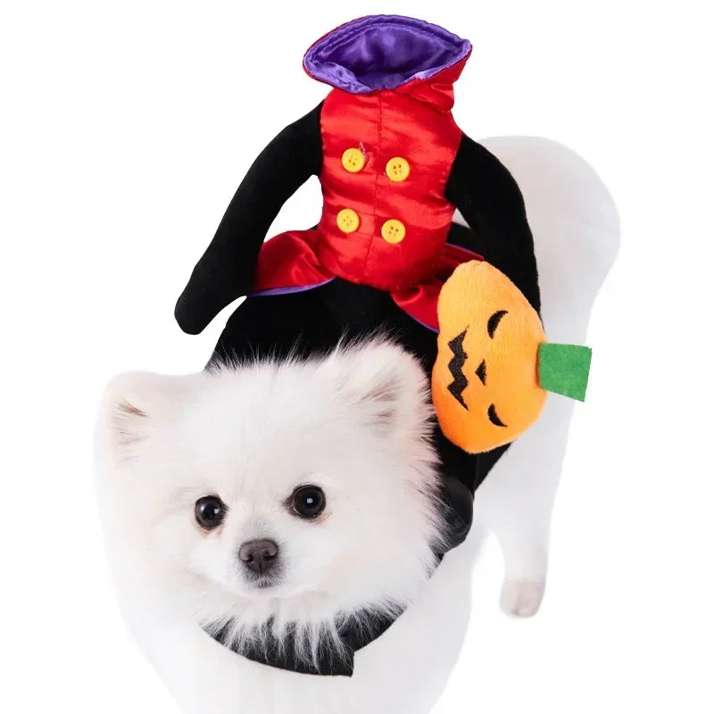 Horse Riding Halloween Dog Clothes