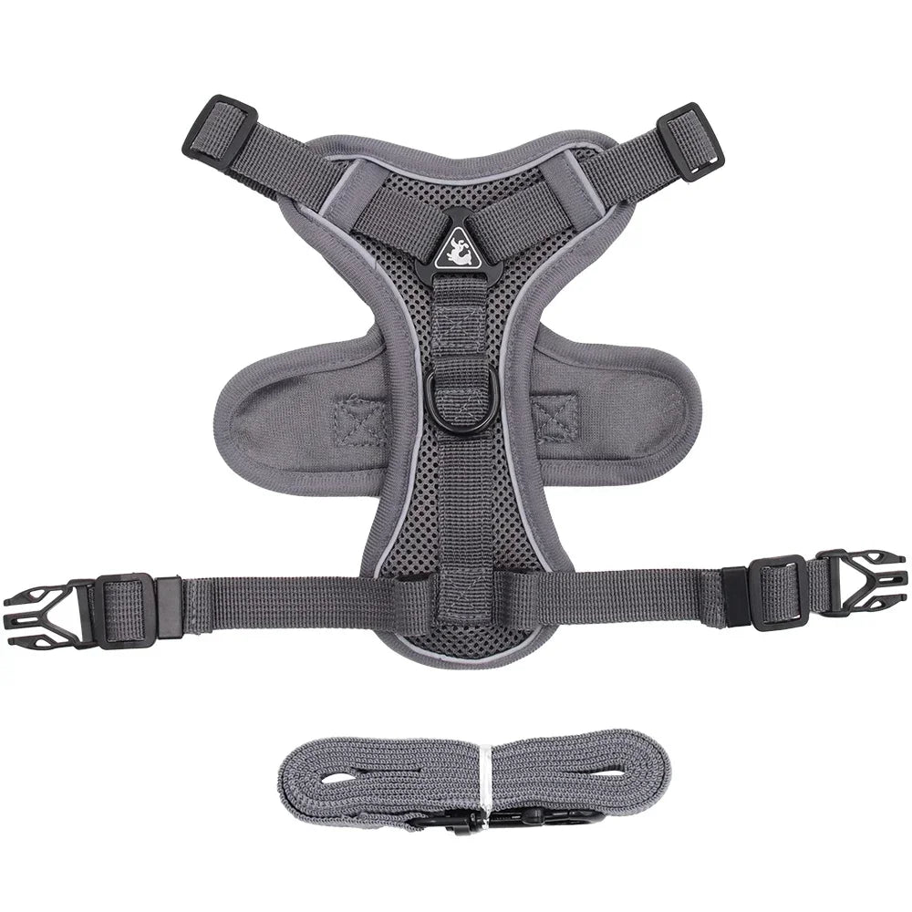 Chest Strap Cat Harness and Leash Set