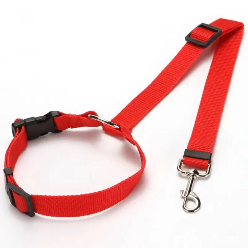 Two-in-one Car Seat Nylon Leash