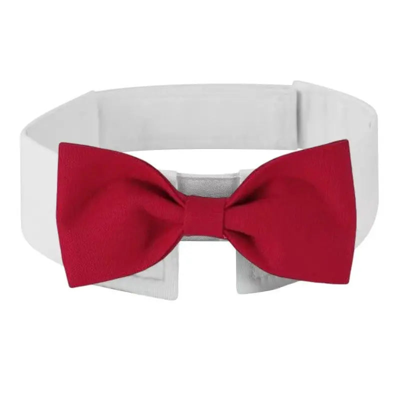 Dogs Tuxedo Wedding Party Suit