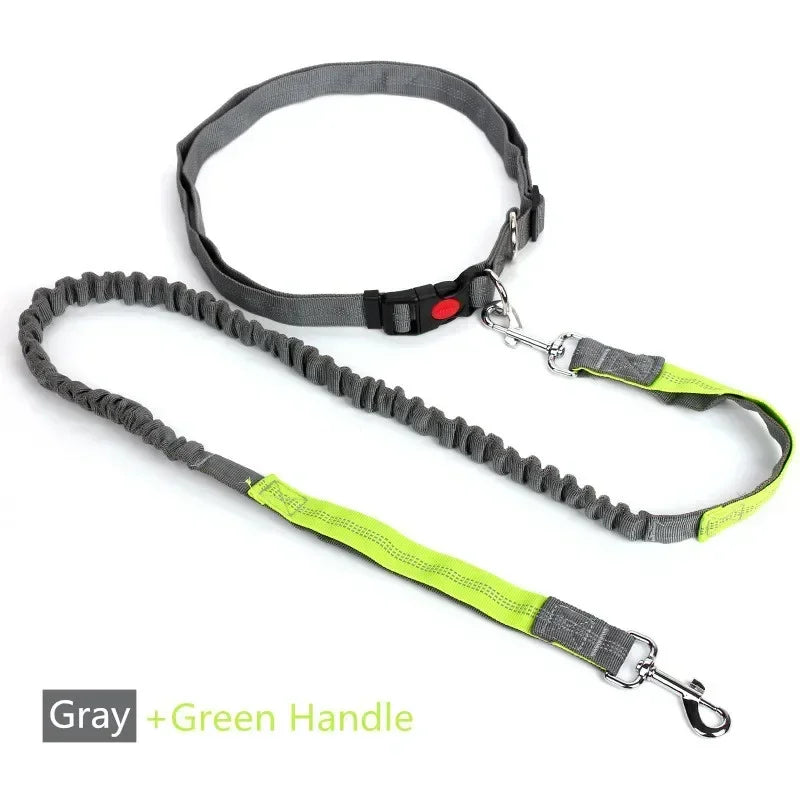 Hands Free Dog Leash with Pouch