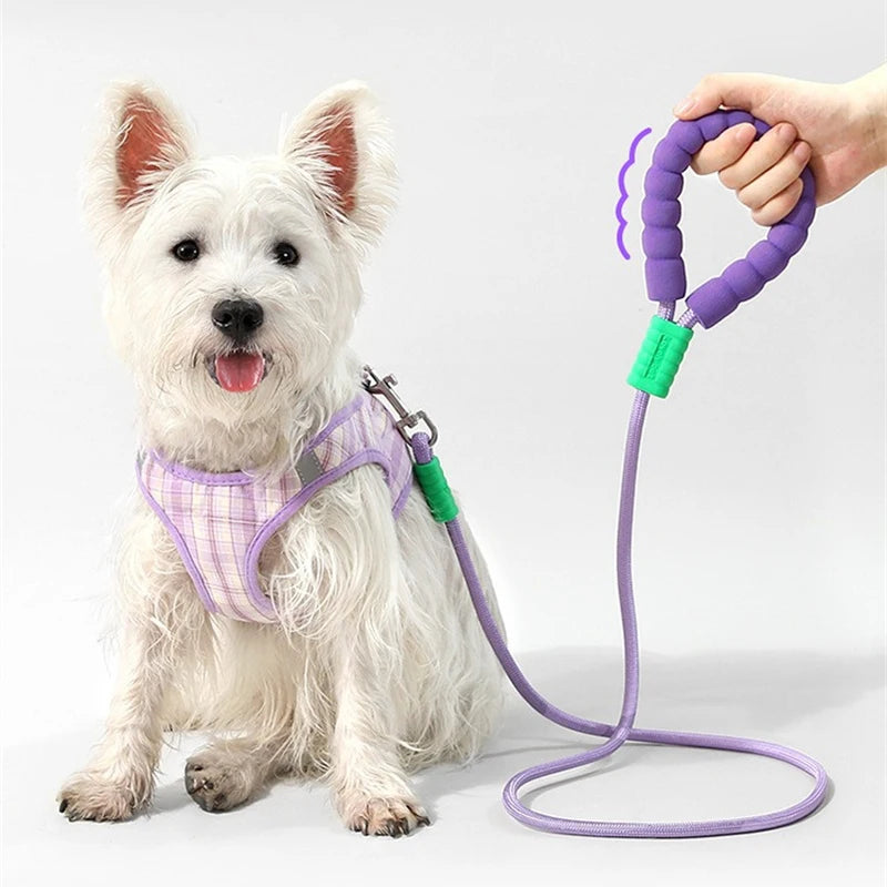 Escape Proof Pet Reinforced Leash