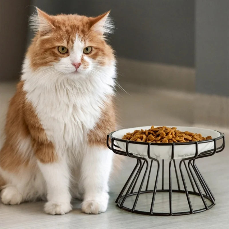 Kitten Elevated Ceramic Bowl