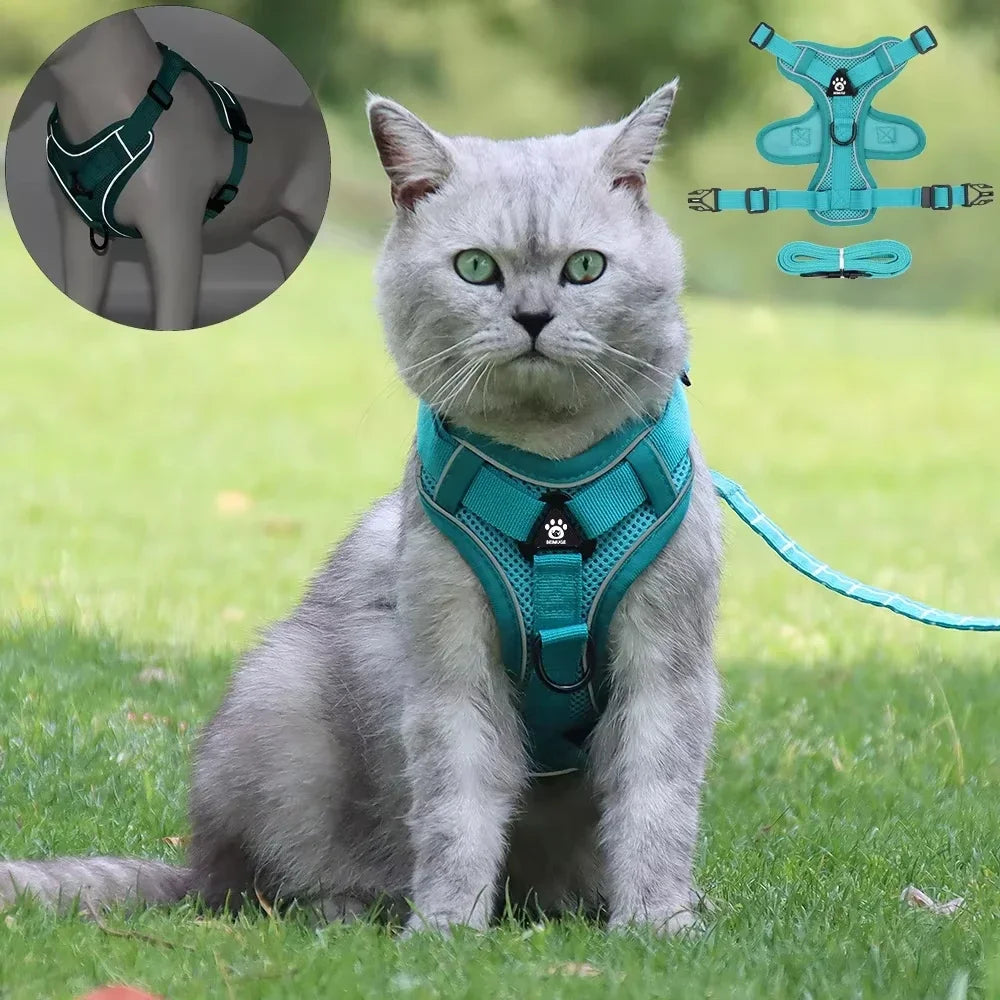 Chest Strap Cat Harness and Leash Set