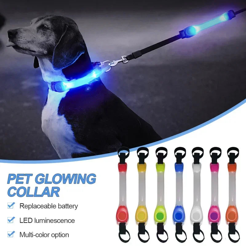 Dog Anti-Lost Safety Glowing Collar