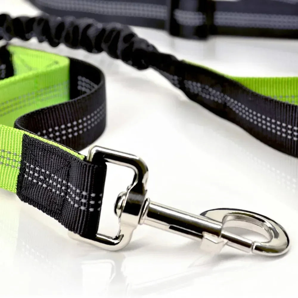 Hands Free Dog Leash with Pouch