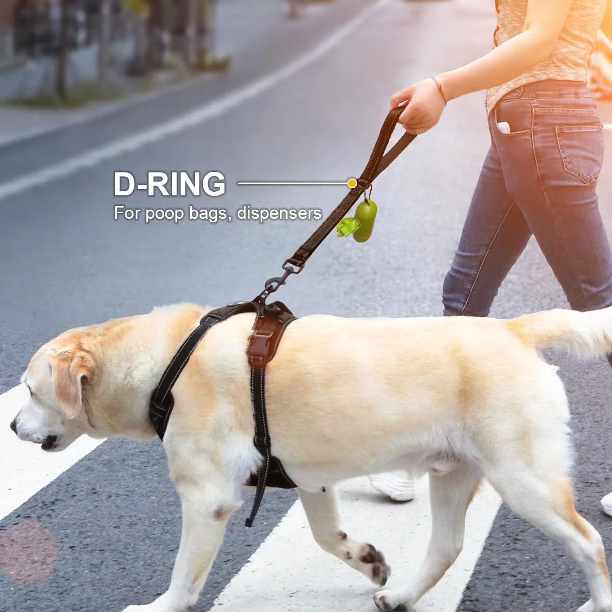 Reflective Threads Taglory Short Dog Leash