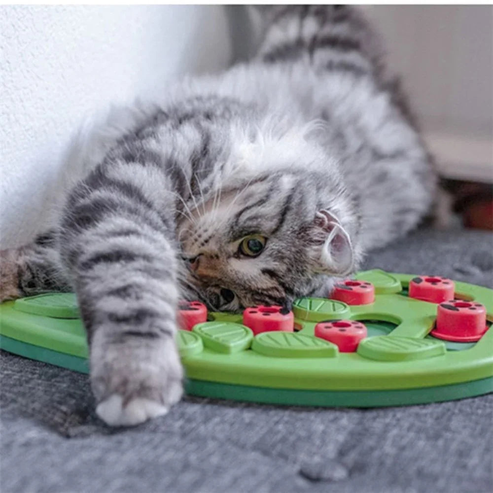 Puzzle & Play Cat Scratch Board