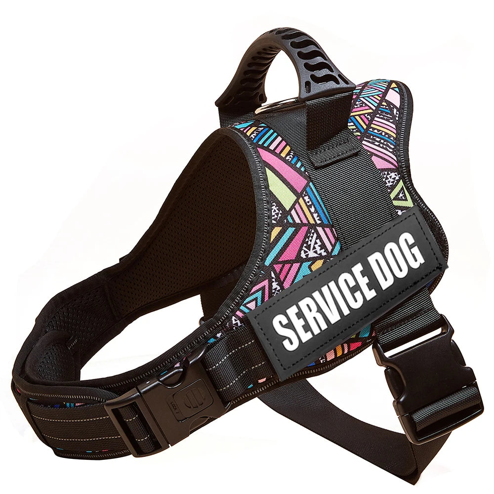 Personalized Dog Harness