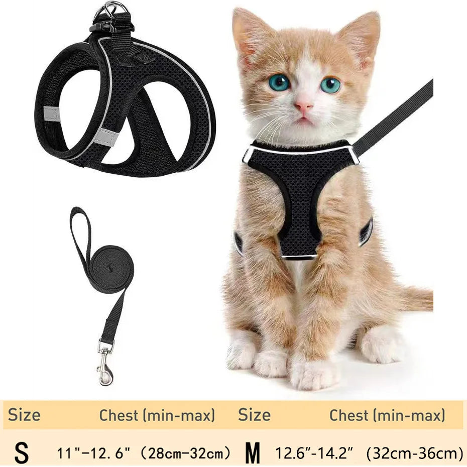 Soft Mesh Puppy Harness