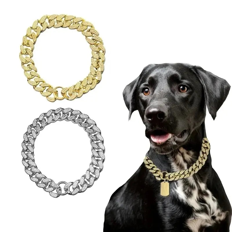 Diamond-Studded Dog  Cuban Chain