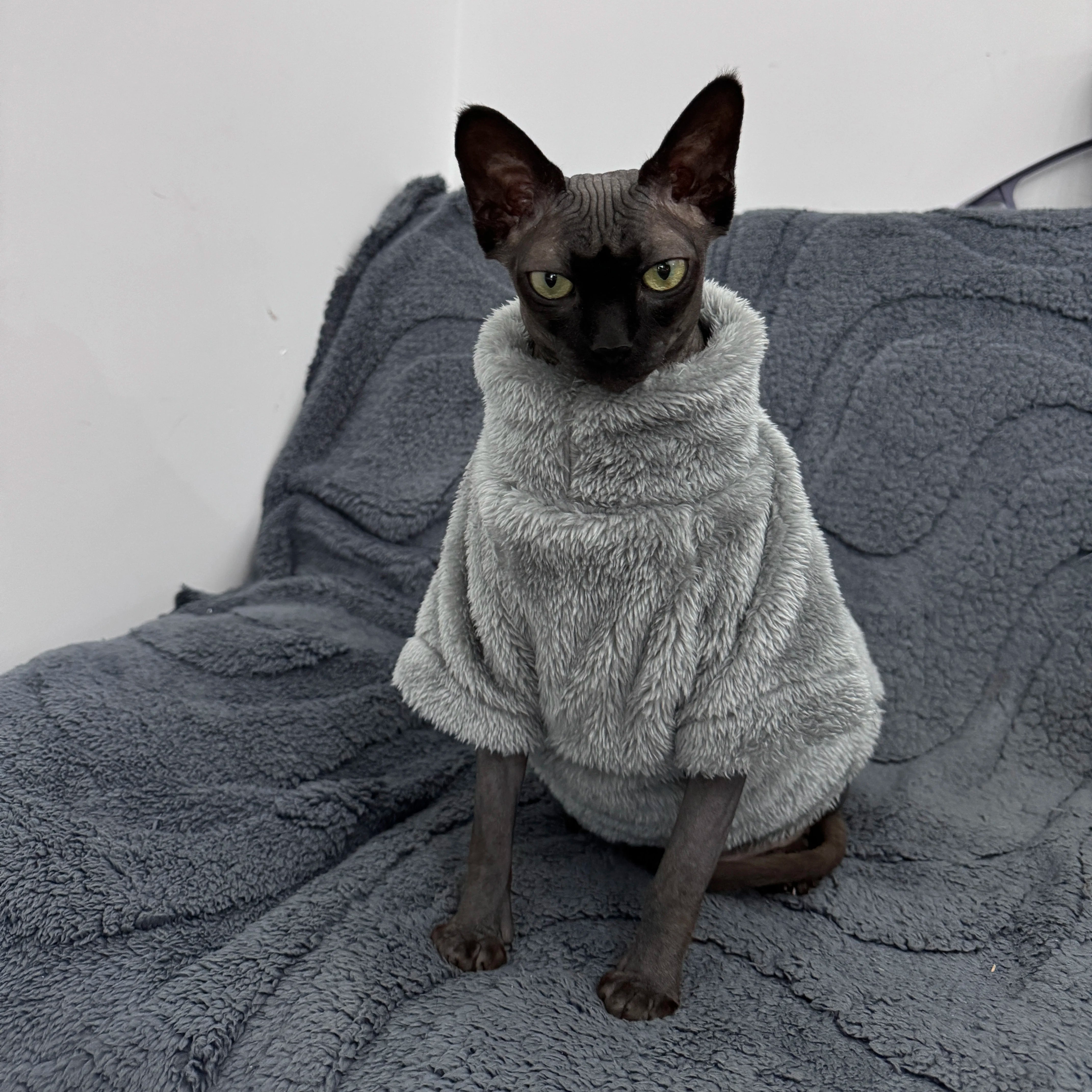 Soft Arctic Velvet Cat Sweater