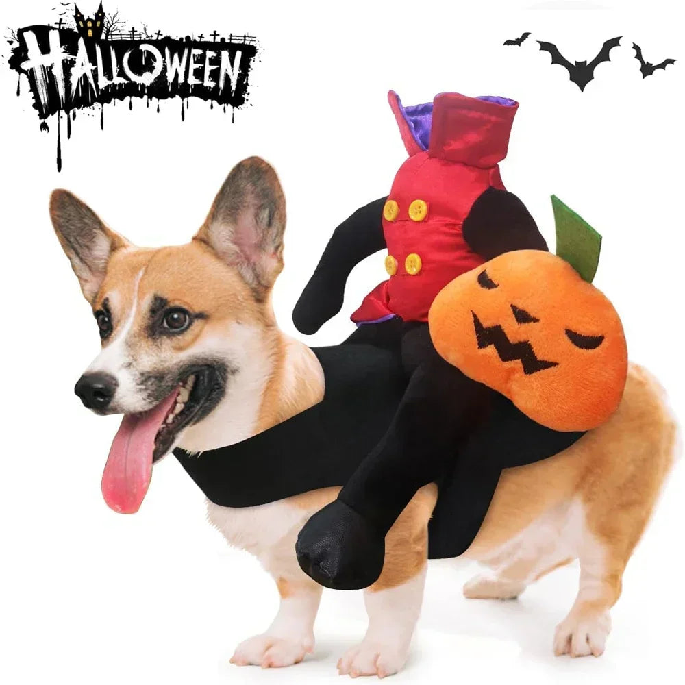 Horse Riding Halloween Dog Clothes