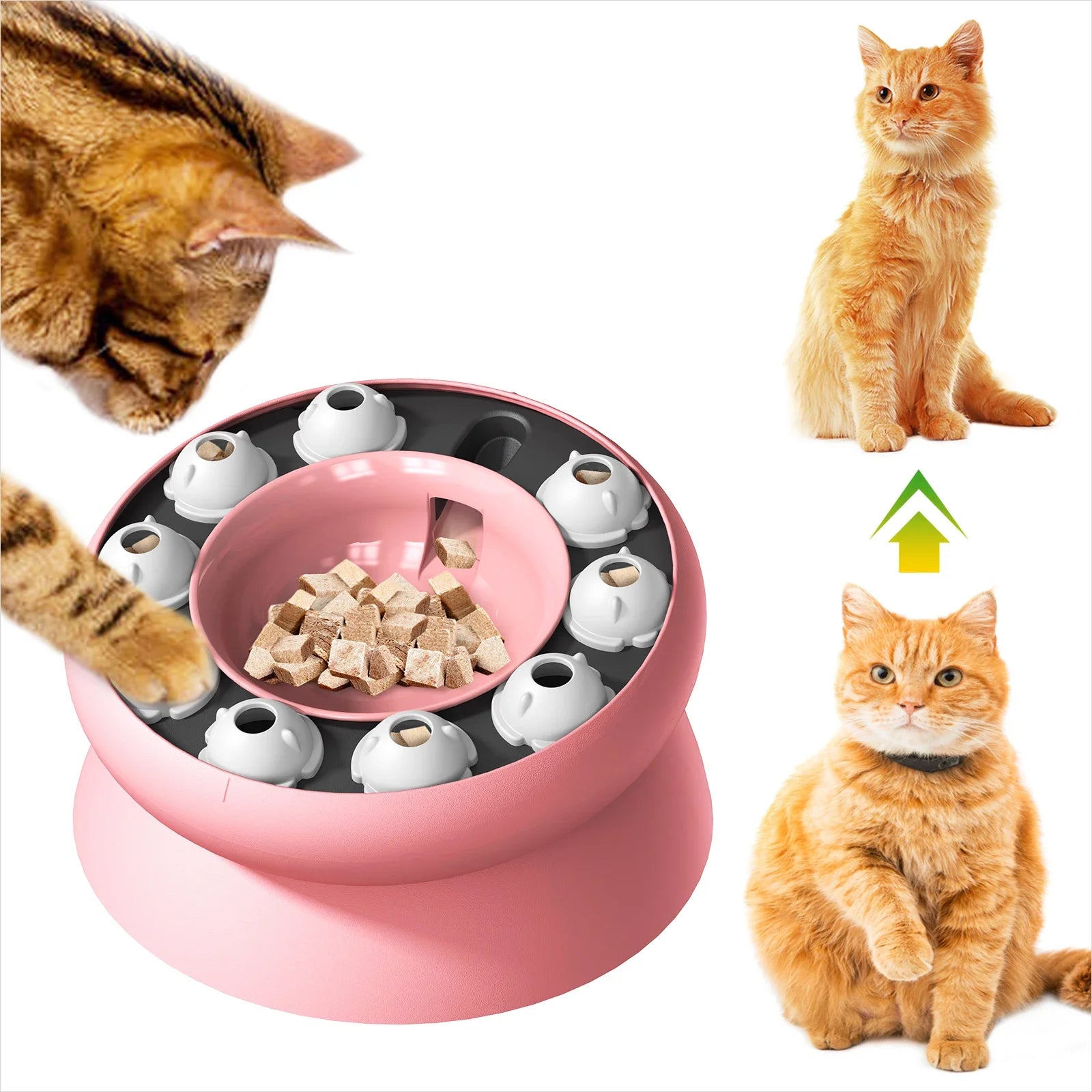 Cat  Slow Feeder Puzzle Toy