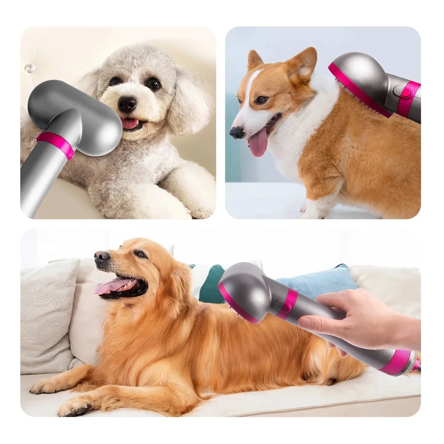 Pet Hair Dryer