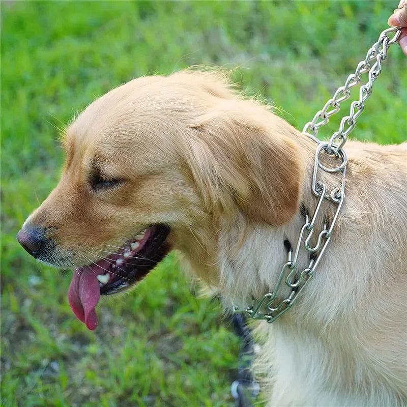 Anti-Pull Training  Rubber Tips Collar