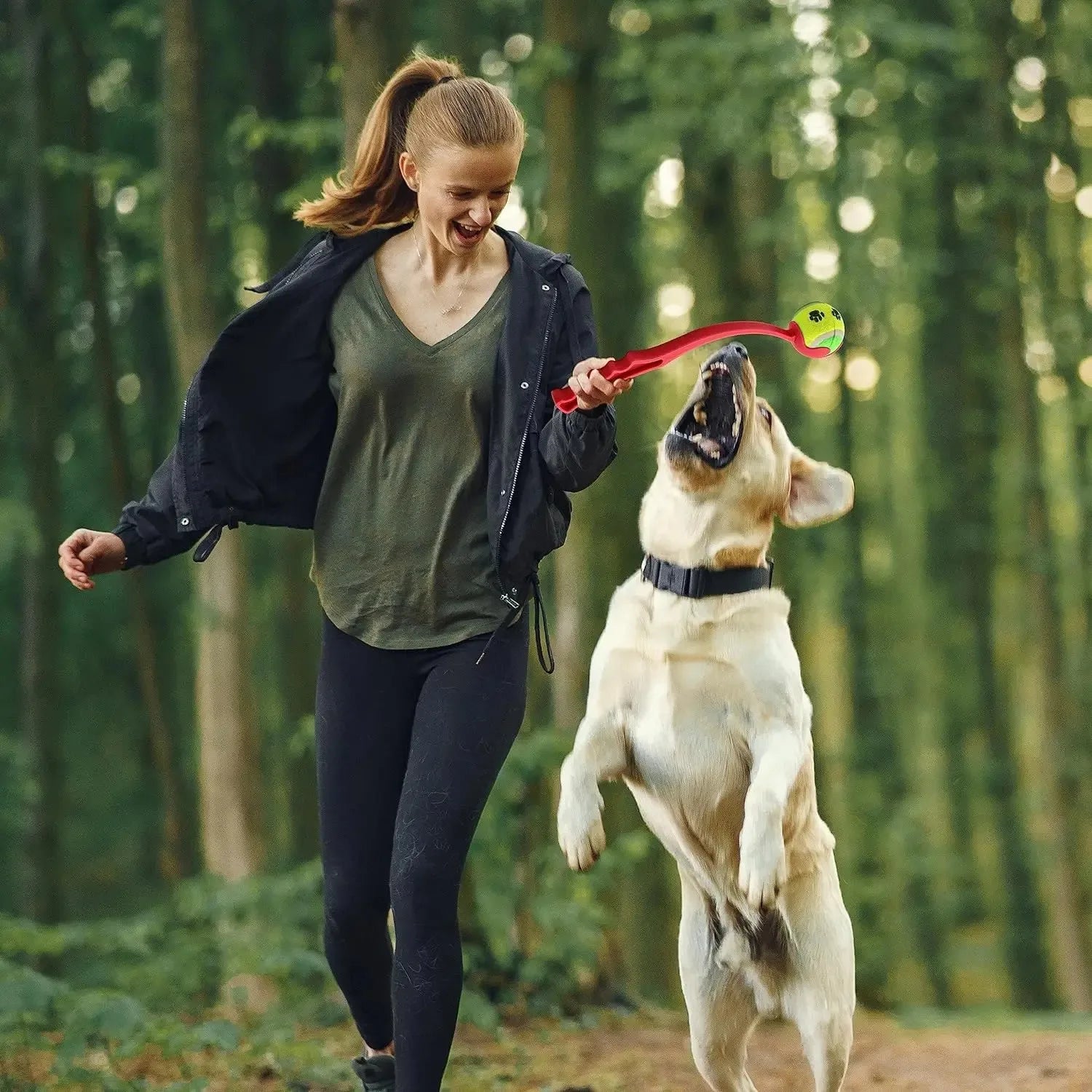 Ball Throwing Dogs Training Toy