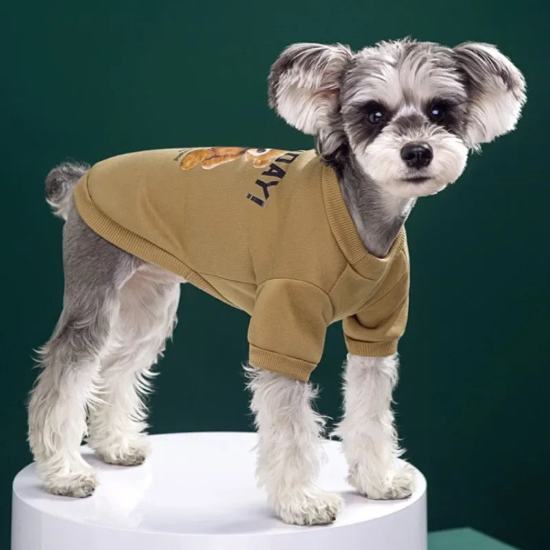 Bear Pattern Pet Jacket