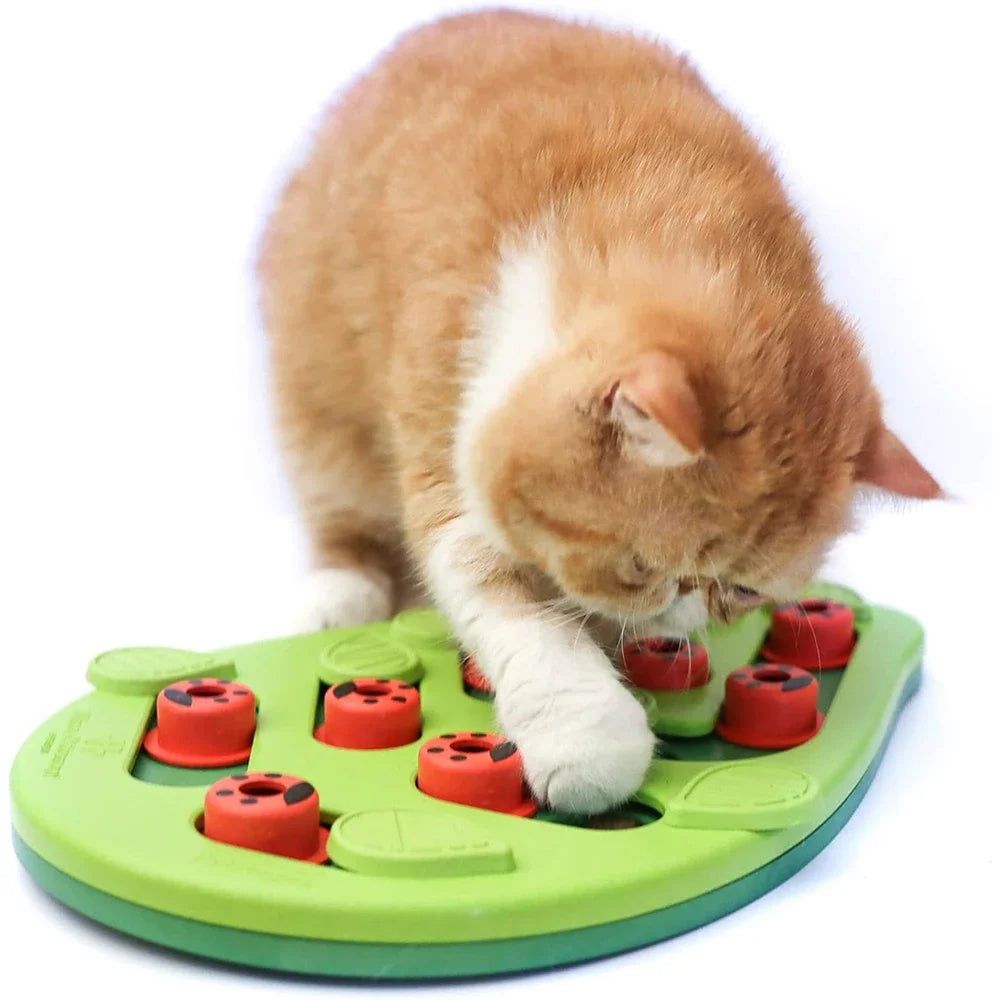 Puzzle & Play Cat Scratch Board