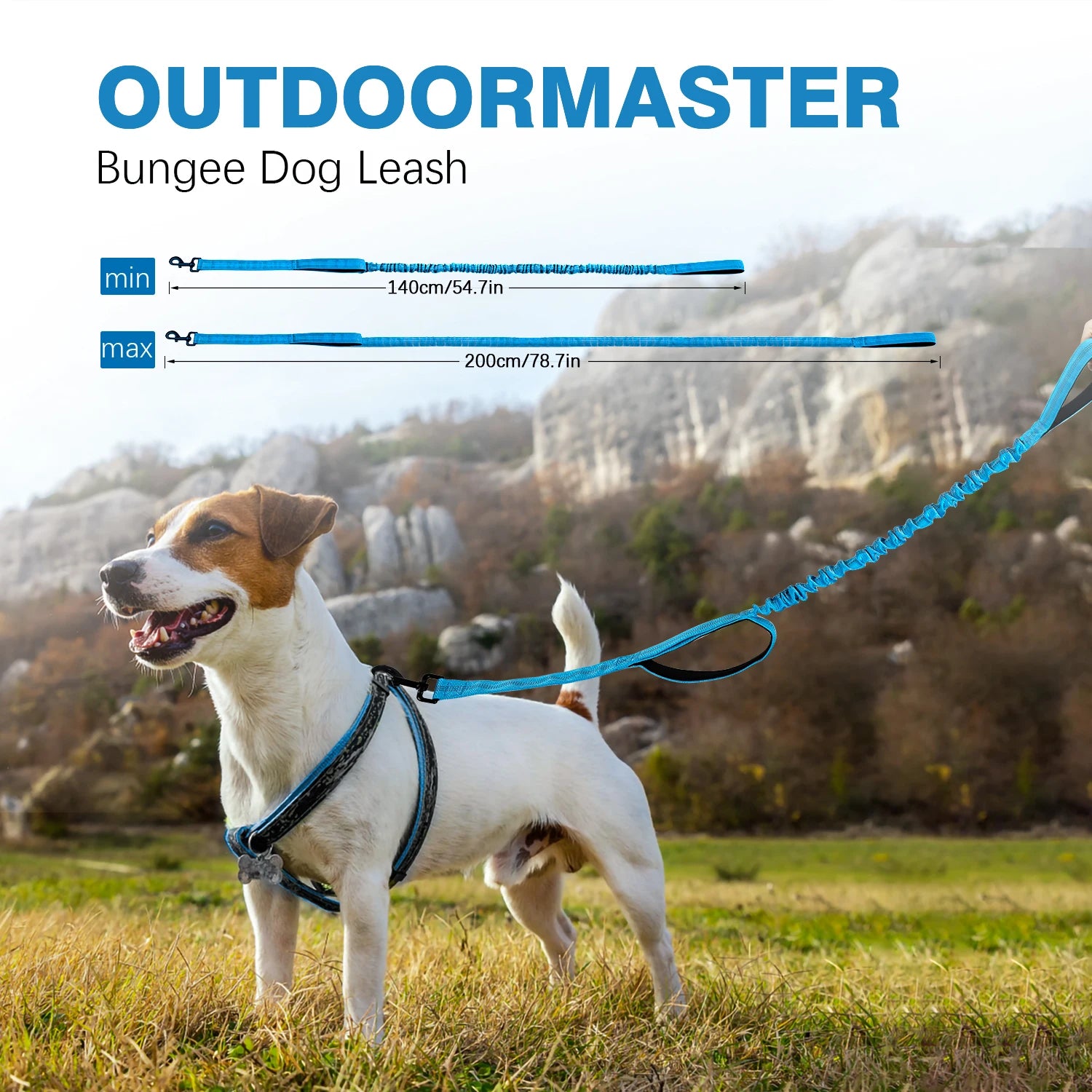 2 Padded Handles Dog Safety Leash