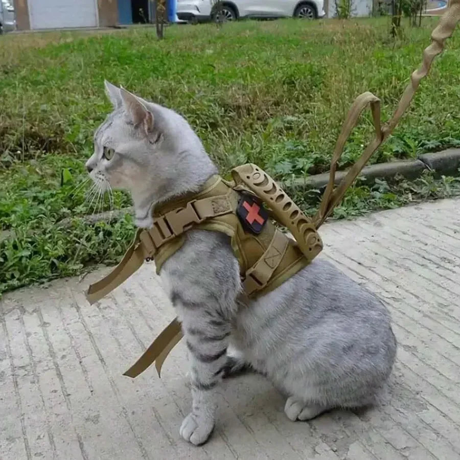Waterproof Cat Special Strap Vest