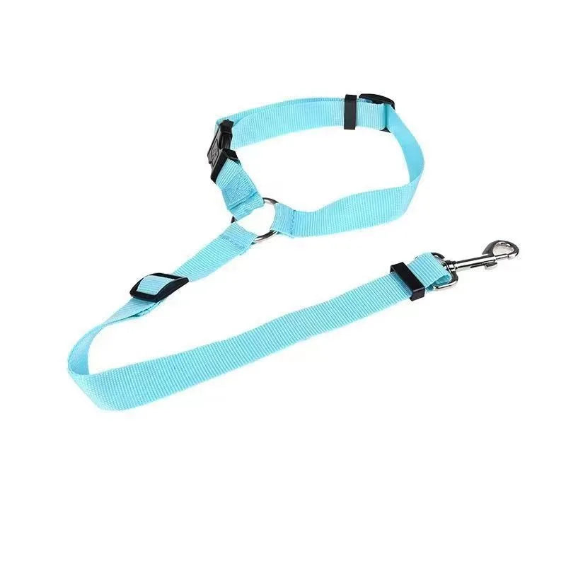 Two-in-one Car Seat Nylon Leash