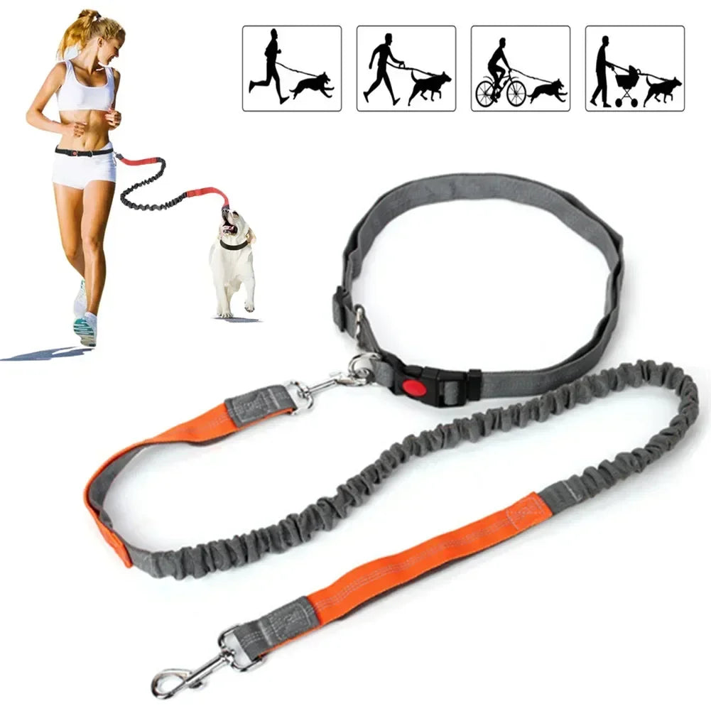 Hands Free Dog Leash with Pouch