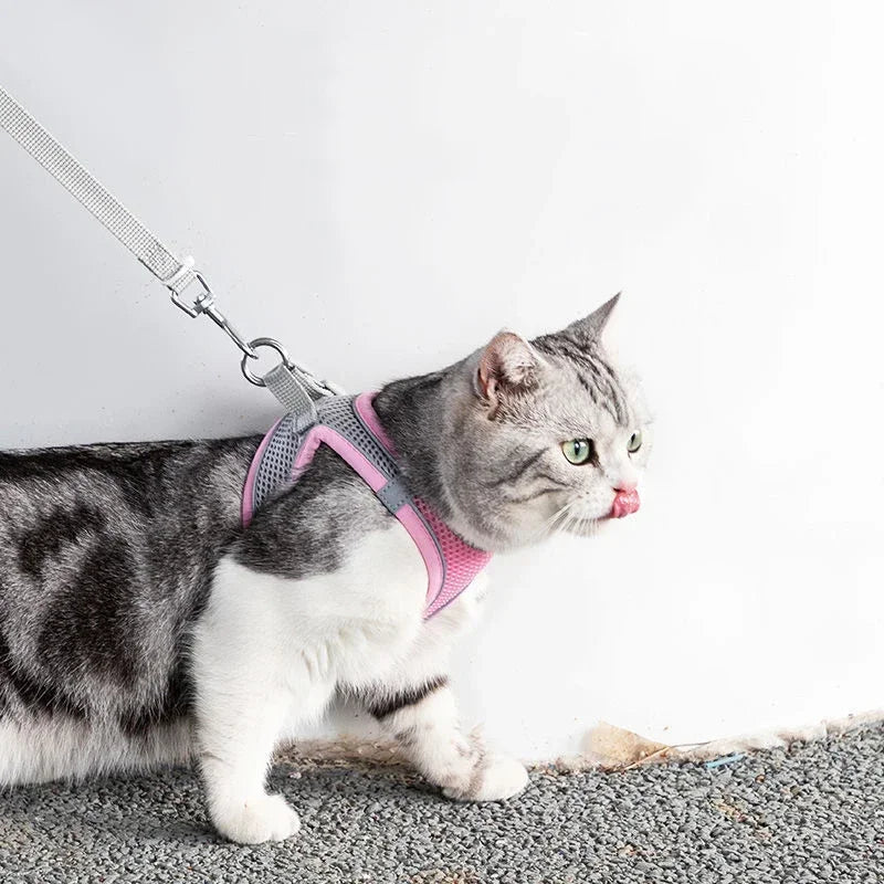 Breathable Polyester Mesh Harness