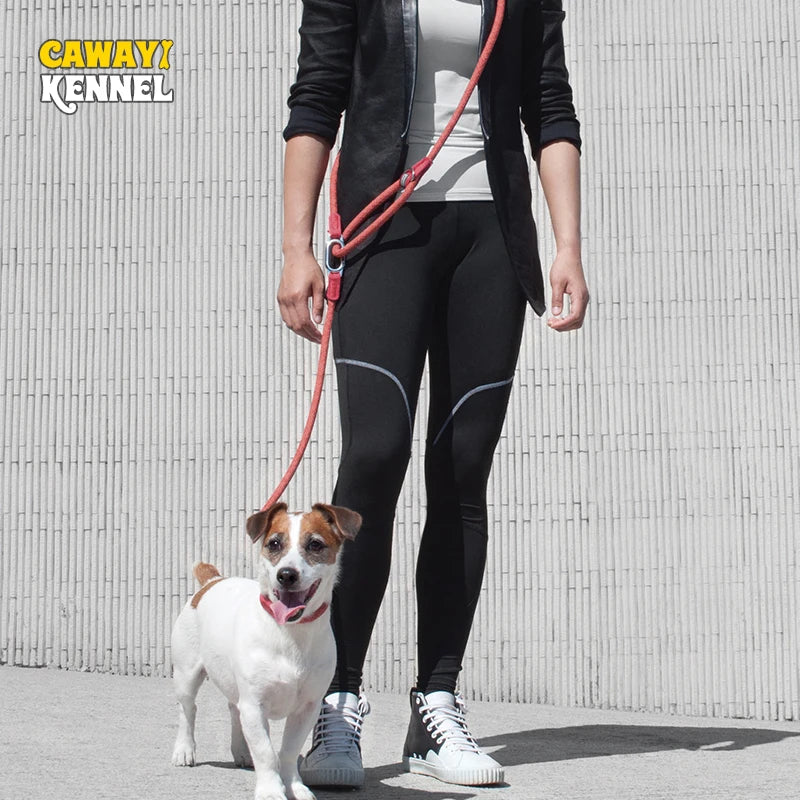 Reflective Nylon Running Leashes