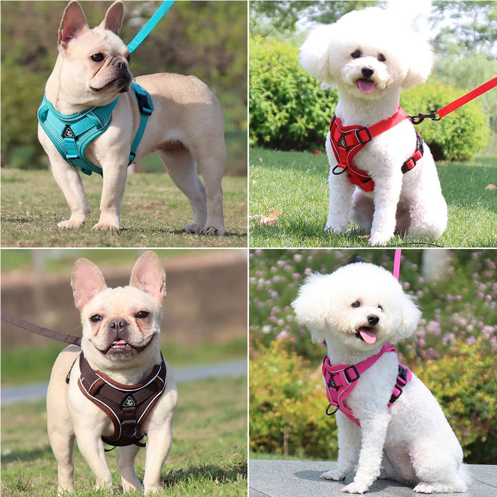 Pectoral Collar Dog Harness