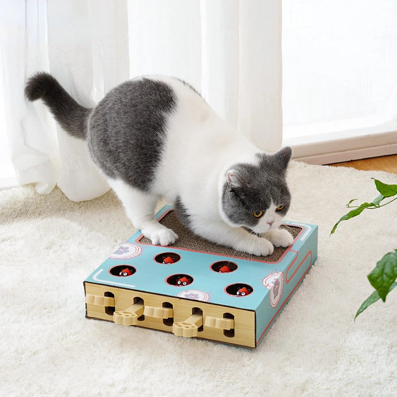 Funny Cat Interactive Toy