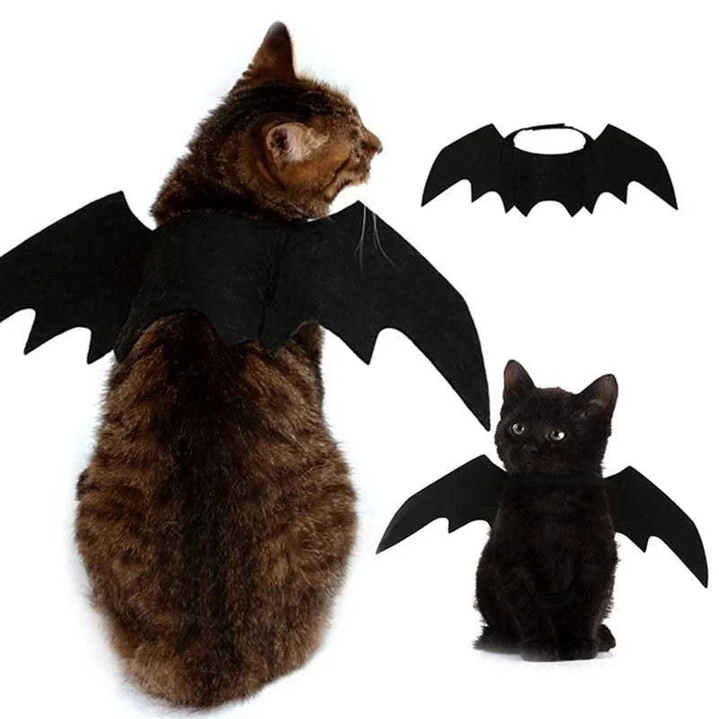 Black Bat Wings Halloween Party Harness