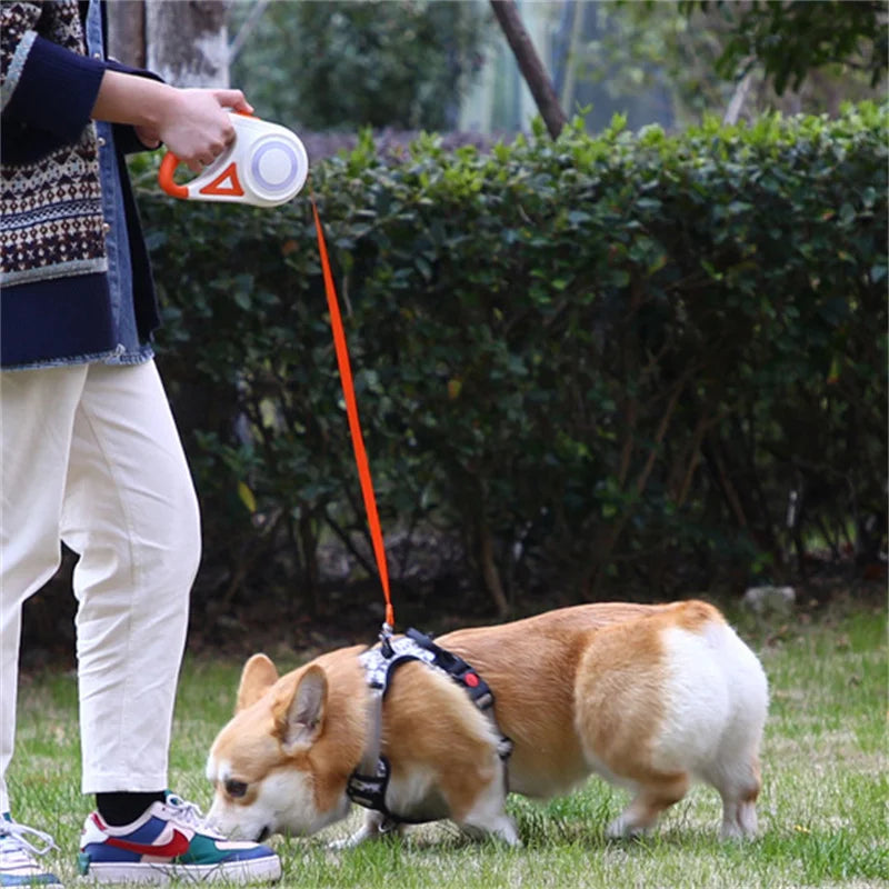 Durable Automatic Retractable Dog Leash