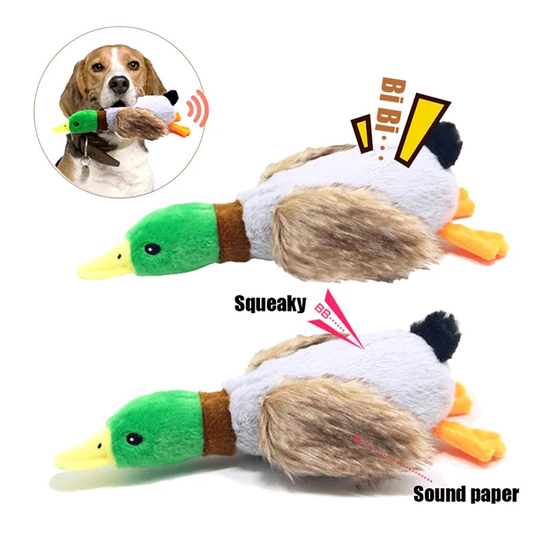 Duck Squeak Toy