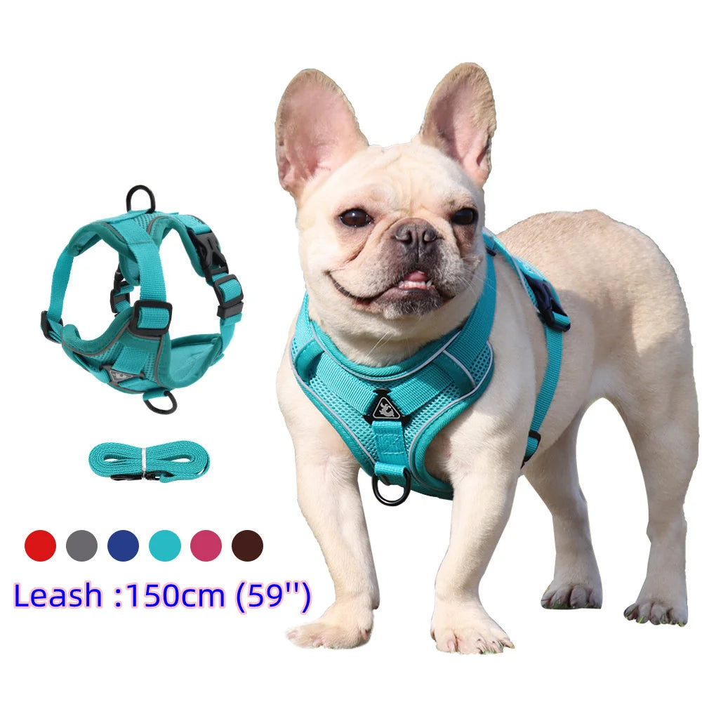 Pectoral Collar Dog Harness