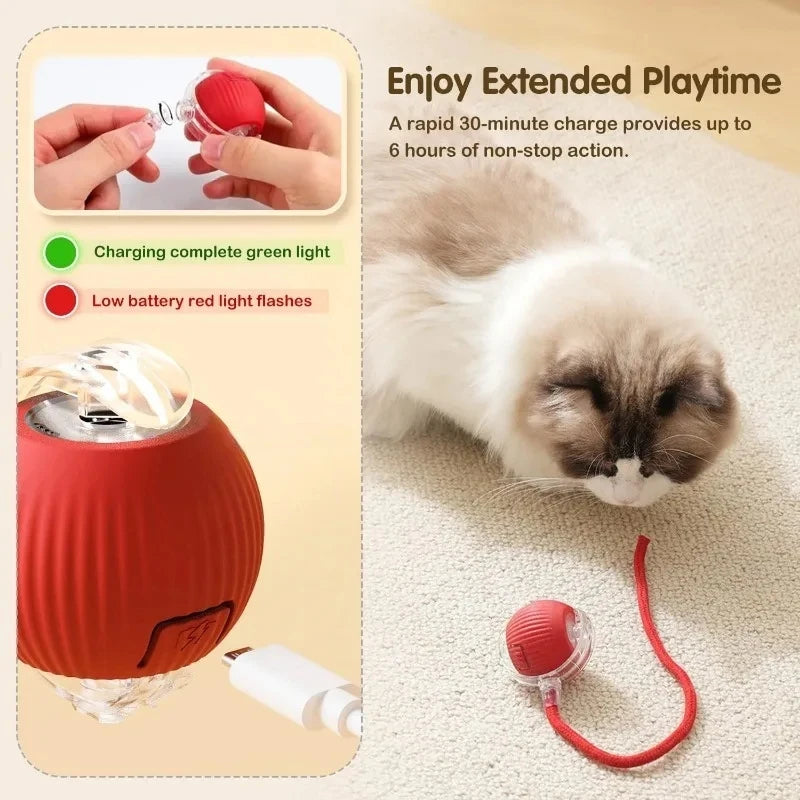 Rechargeable Automatic Rolling Toy