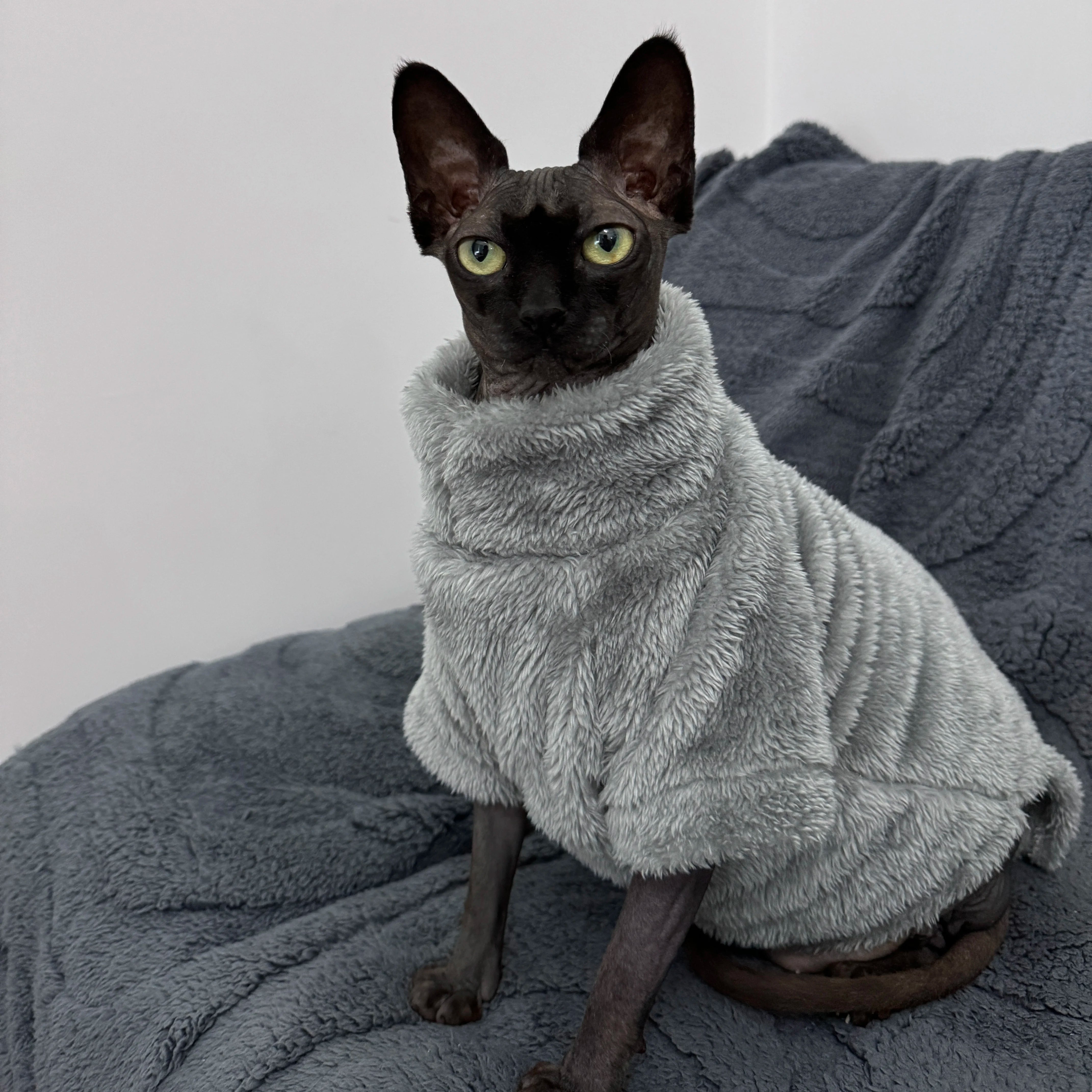 Soft Arctic Velvet Cat Sweater