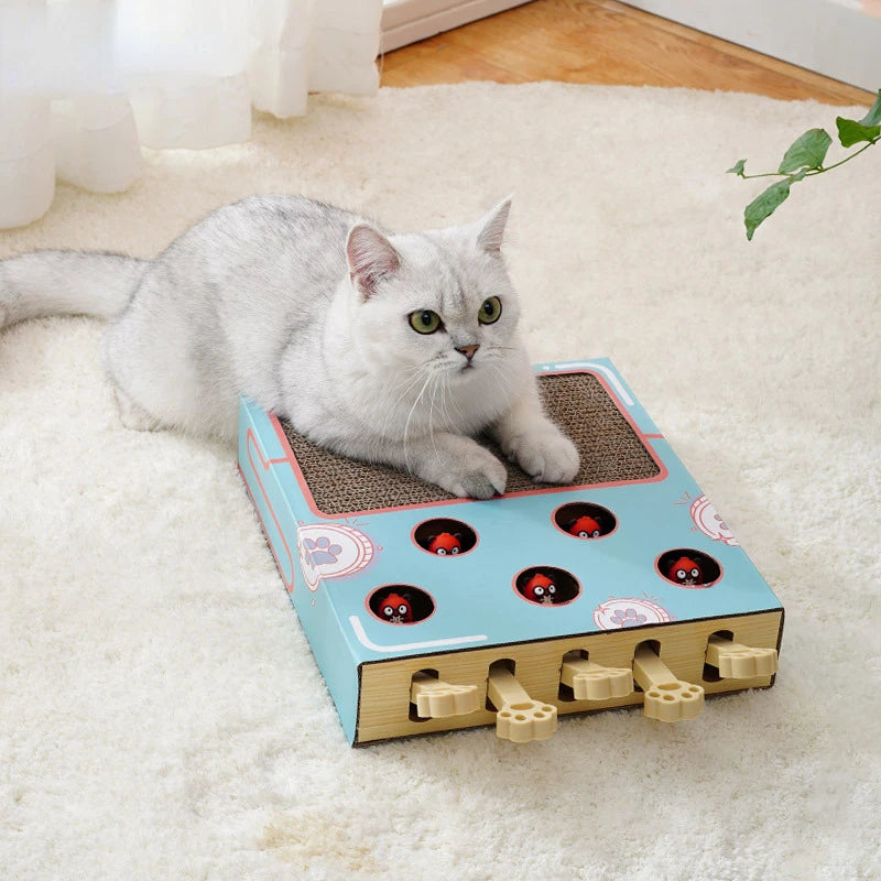 Funny Cat Interactive Toy