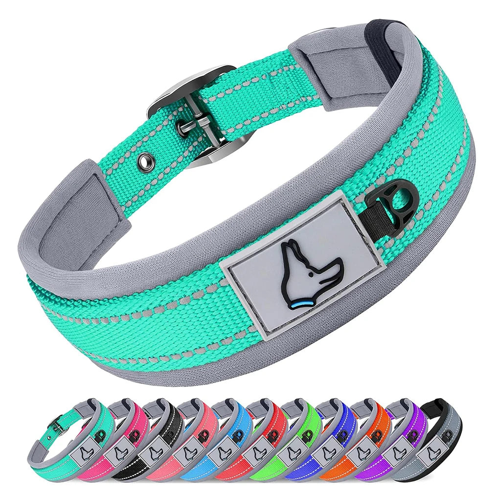 Padded Neoprene Dog Collar