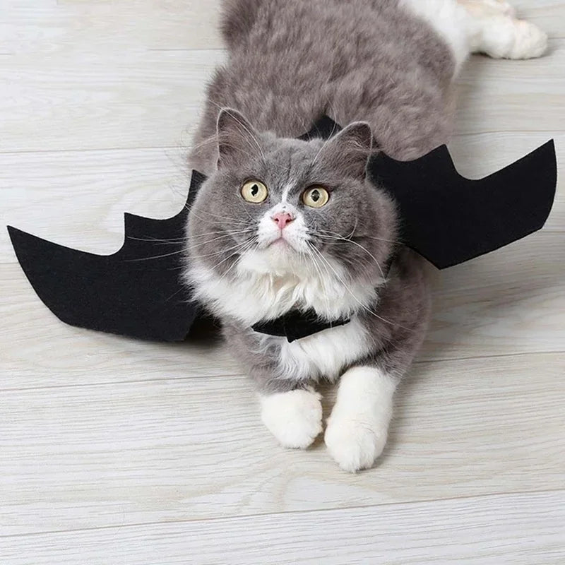 Black Bat Wings Halloween Party Harness