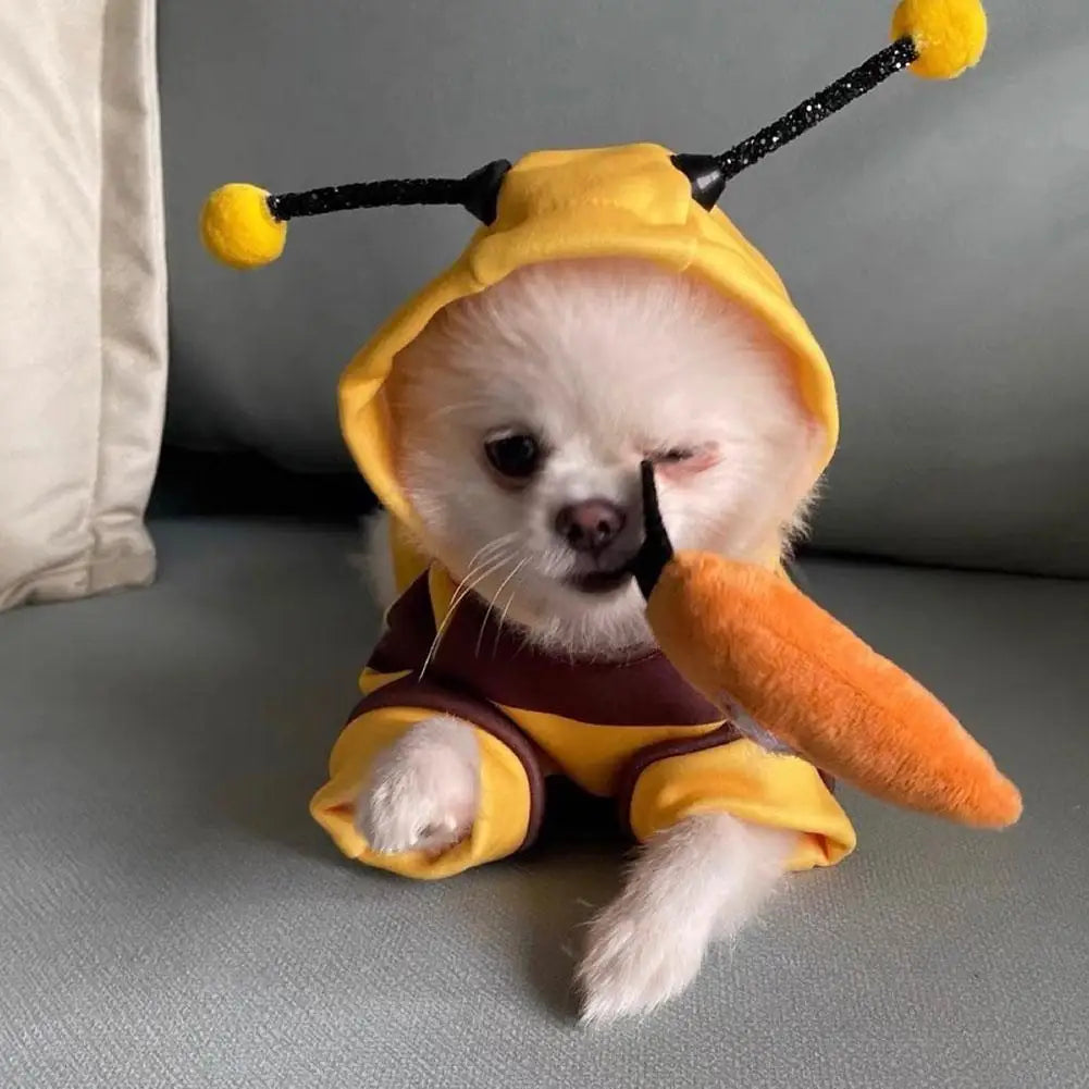 Honey Bee Role Play Costume
