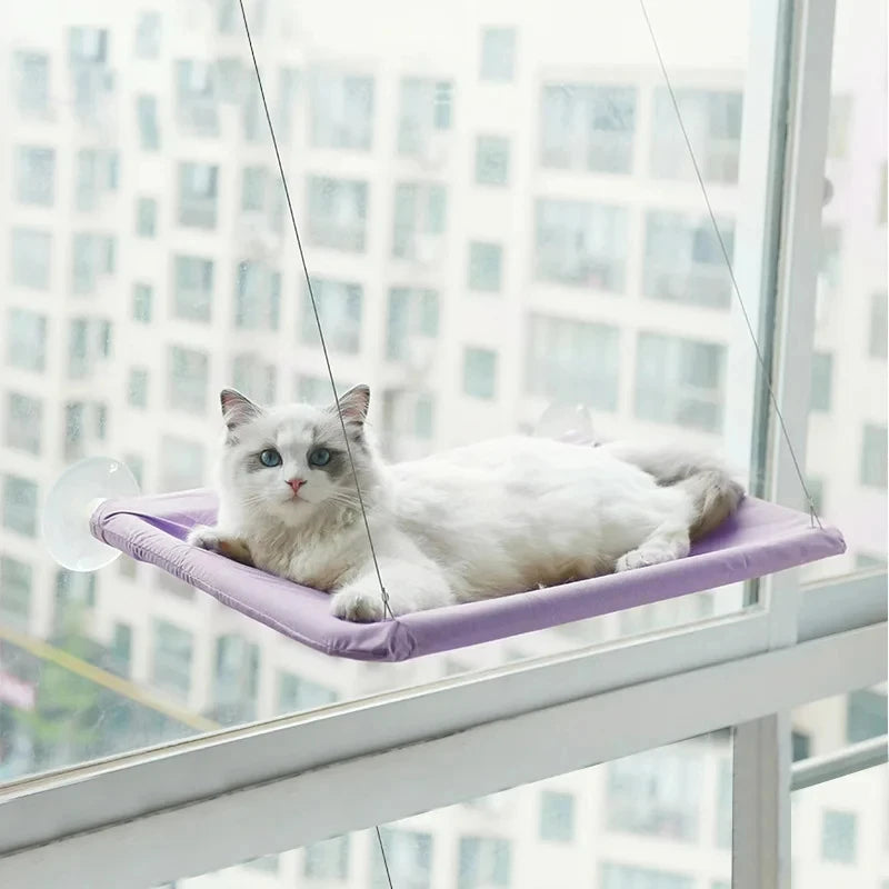 Cat Hanging Hammock