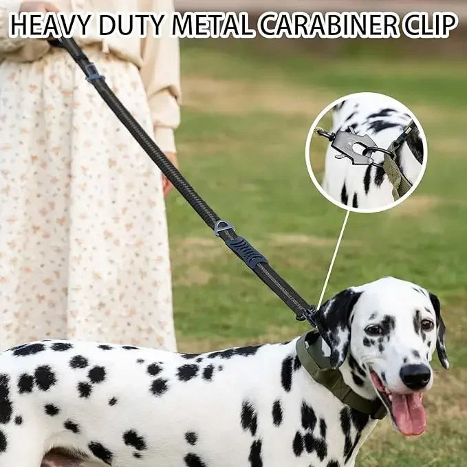 Reflective Shock Absorbing Tactical Leash