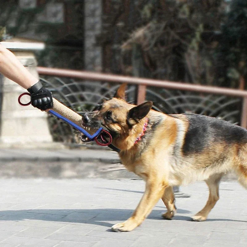 Dog Training Coarse Jute Chew Stick