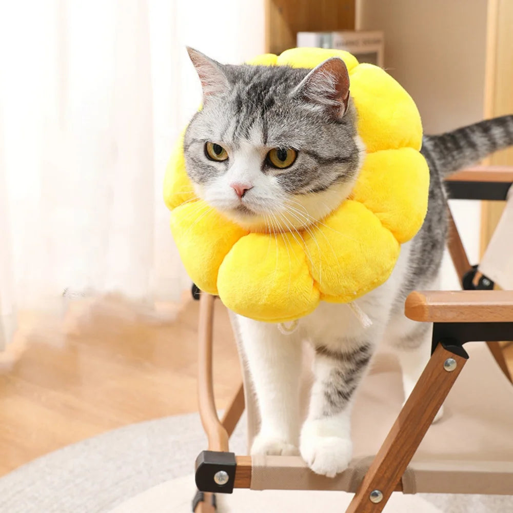 Anti-Lick Sunflower Elizabethan Collar