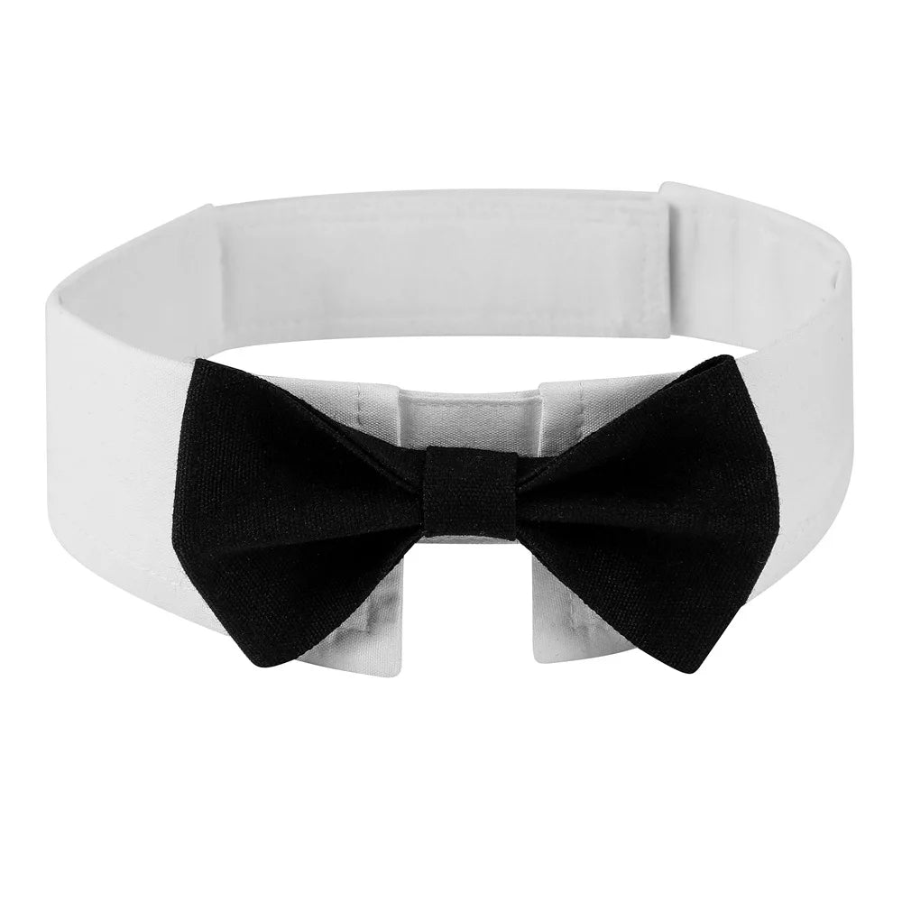Dogs Tuxedo Wedding Party Suit