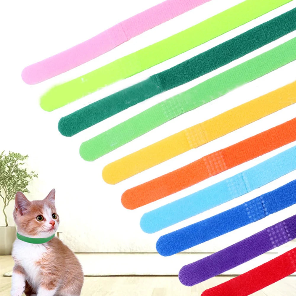 Color-Coded Newborn Kitten ID Collar
